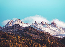 世界杯客户端下载安装-战术大师崔康熙也无奈 实力有差距申花局势不乐观