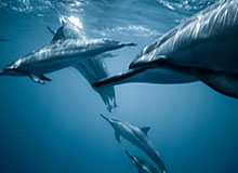 世界杯客户端下载安装-颤抖吧亚洲！国安双核已全速运转 7球中他俩造6球