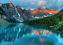 世界杯官方app下载中心-意甲首位下课教练诞生，普兰德利重回紫百合